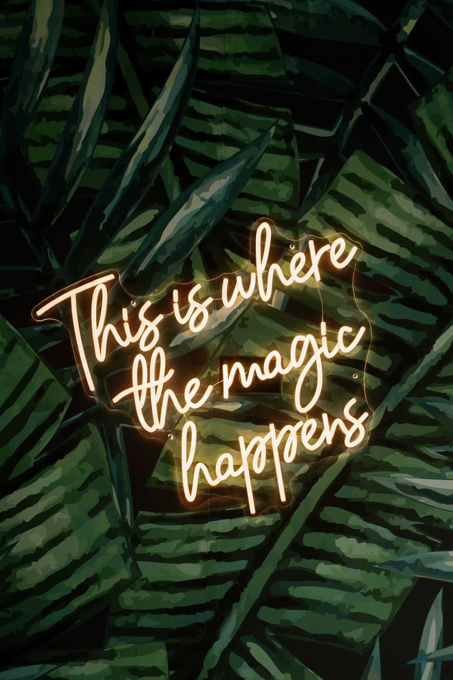 Neon sign reading "This is where the magic happens" on a background of green tropical leaves.